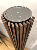 Bang Olufsen BeoLab 28 black anthrazit / dark oak Hessen - Limburg Vorschau