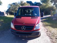 Mercedes-Benz Sprinter II Pritsche/DoKa 311 Ludwigslust - Landkreis - Stralendorf Vorschau