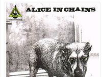 Ich SUCHE das Alice In Chains Songbook für E-Gitarre und Gesang Baden-Württemberg - Althütte Vorschau