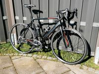 Canyon Endurace CF 8.0 DI2 Gr. L Rennrad Ultegra Carbon Bayern - Wassertrüdingen Vorschau