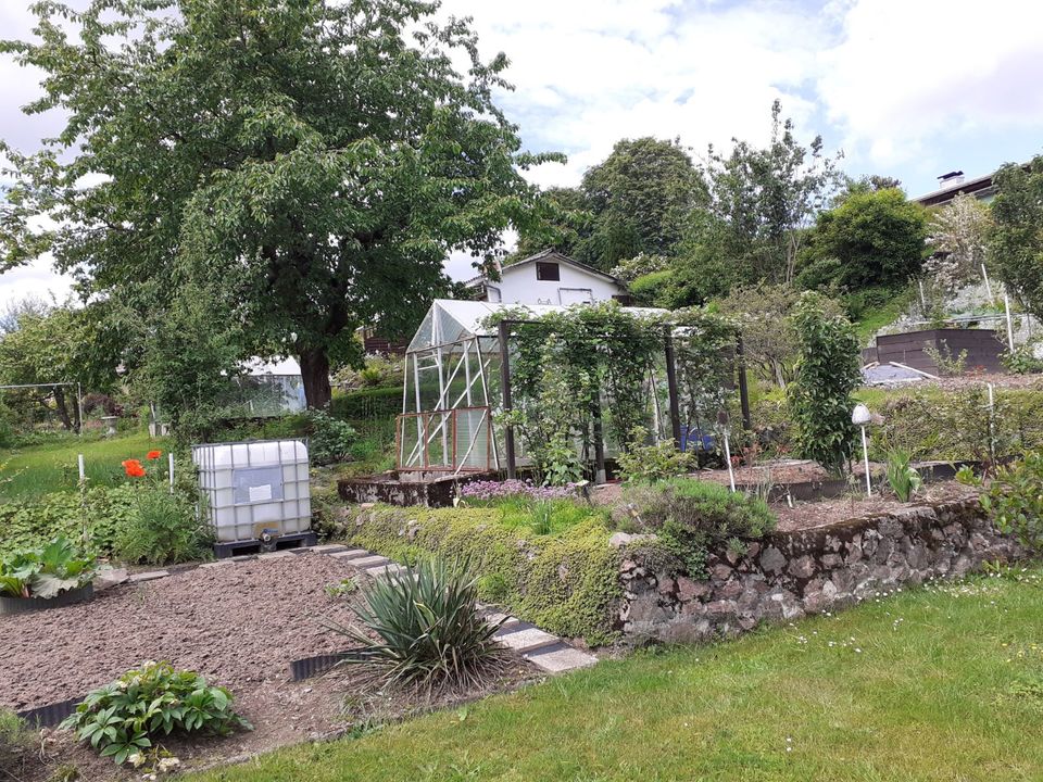 Garten in Suhl - KGV - mit massivem Doppelbungalow abzugeben in Suhl