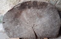 Tischplatte rund 100cm, Baumscheibe Eiche Hirnholz, Rohling Nürnberg (Mittelfr) - Oststadt Vorschau