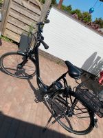 E-Bike raleight Dover 8HS Schleswig-Holstein - Süderbrarup Vorschau