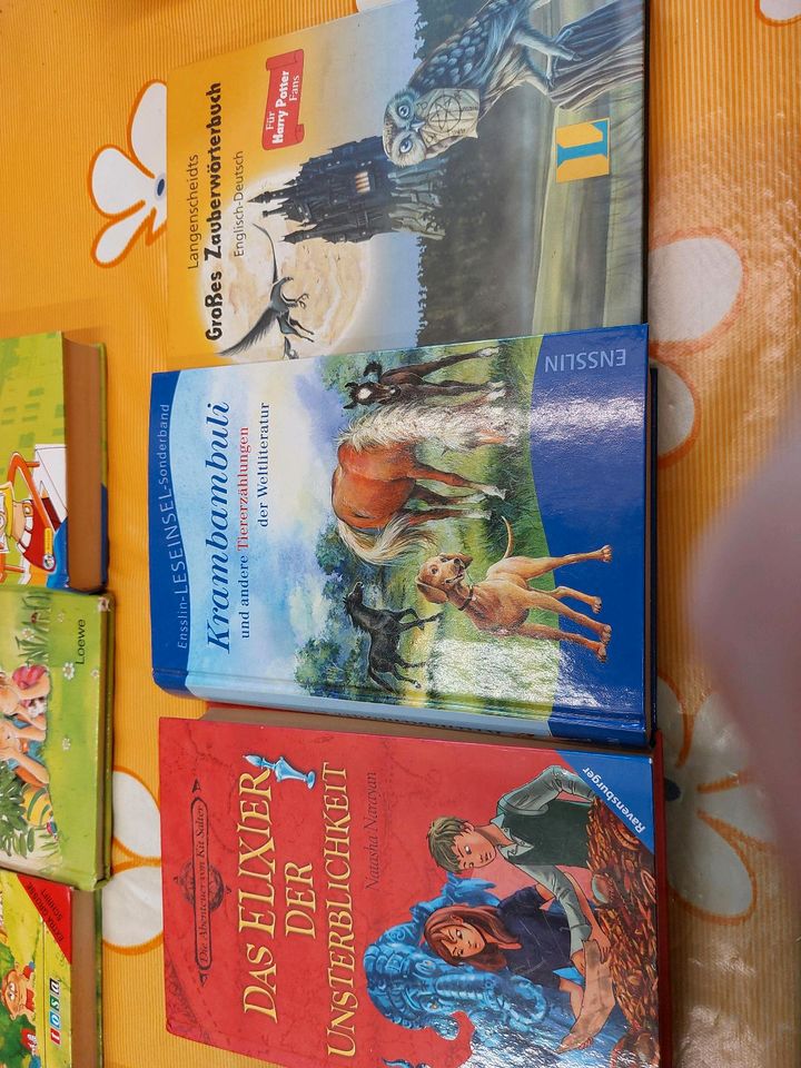 Bücherpaket Kinderbücher Harry Potter Wörterbuch Krambanbuli in Solingen