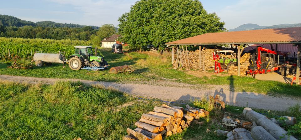 TOP: Idyllisch gelegene Ferienwohnung auf dem Bauernhof, zentral in Bad Säckingen