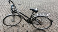 Damen Fahrrad Bayern - Ruhstorf an der Rott Vorschau