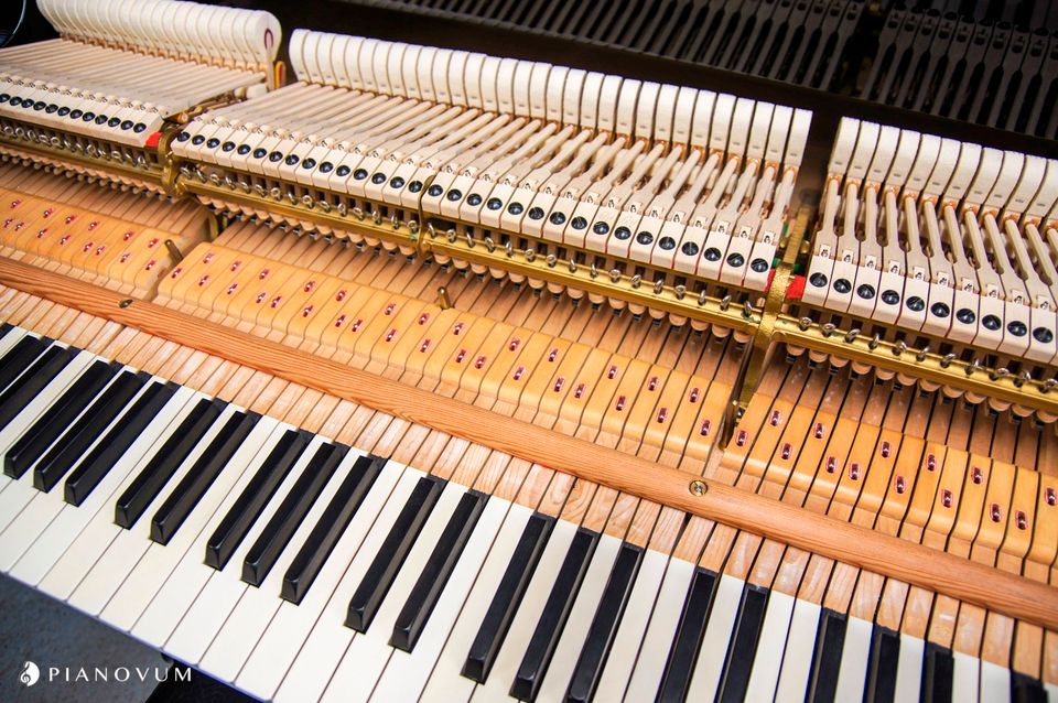 Original STEINWAY & SONS Flügel aus Hamburger Produktion in Düsseldorf