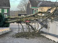 Sturmschaden, Windbruch, Baumkletterer Nordrhein-Westfalen - Remscheid Vorschau