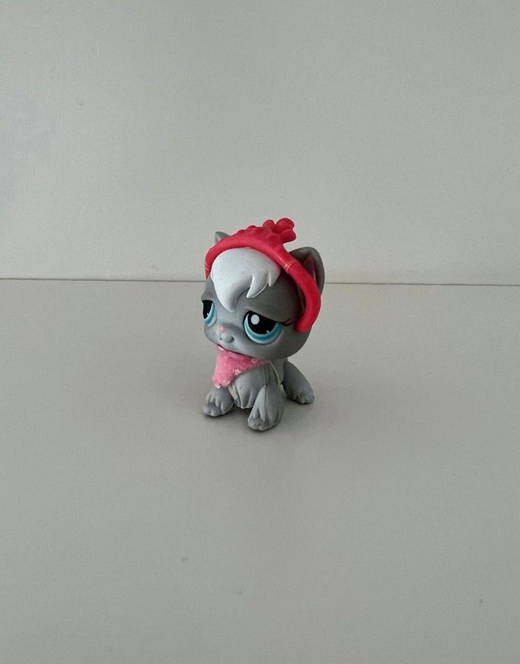 Littlest Pet Shop Katze Angorakatze #345 Sammelfigur Spielfigur in Hanau