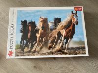 Puzzle mit Pferden Niedersachsen - Braunschweig Vorschau