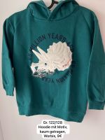 Hoodie , Sweatshirt, Dinosaurier, Gr. 122/128 Thüringen - Worbis Vorschau