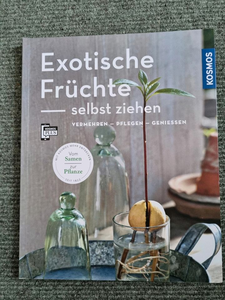 Exotische Früchte - selbst ziehen in Bonn