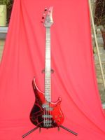 Washburn Chicago Series B80 Bass oder Washburn Force ABT B15/B20 Kr. Dachau - Dachau Vorschau