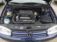 VW Golf 4 1.4 Benzin Schlachtfest Motor Getriebe Türen 108TKM Nordrhein-Westfalen - Bad Salzuflen Vorschau