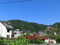 Mosel-Ferienwohnung Nähe Cochem frei 25.Mai - 30. Mai Rheinland-Pfalz - Burgen Vorschau