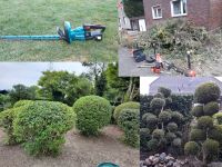 Hecke schneiden Heckenschnitt Sturmschaden Gärtner Garten Bäume Nordrhein-Westfalen - Bottrop Vorschau