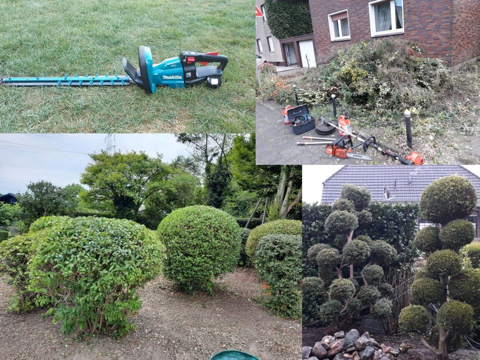 Hecke schneiden Heckenschnitt Sturmschaden Gärtner Garten Bäume in Bottrop