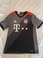 Bayern München Trikot Größe 164 Nordfriesland - Niebüll Vorschau