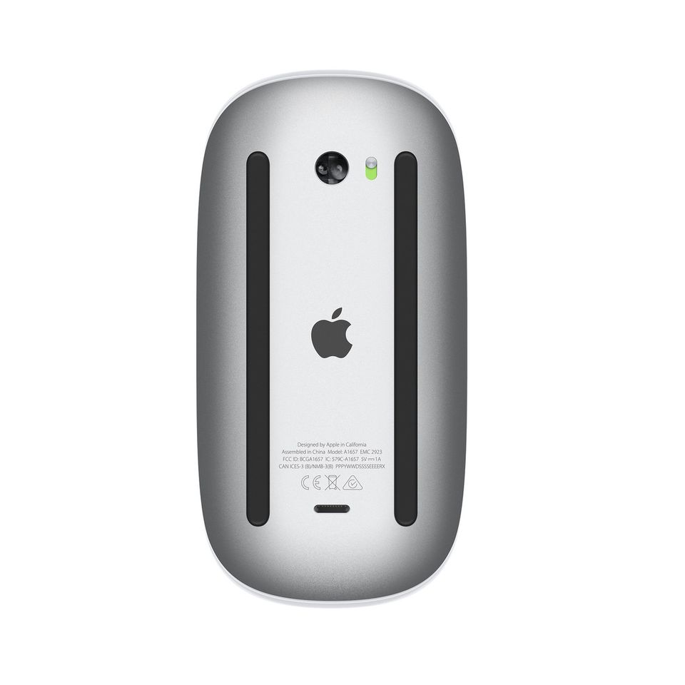 Apple Magic Mouse in Neustadt a. d. Waldnaab