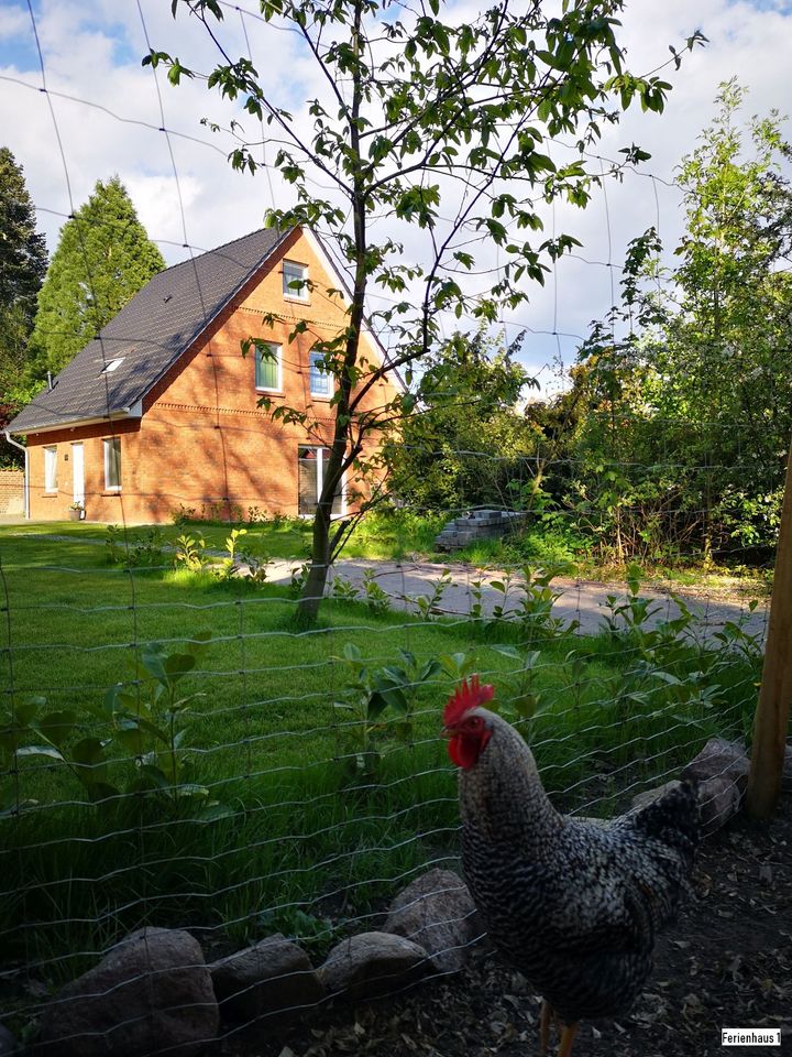 Ferienhaus des Jahres 2024 - Ferienhaus Hünzingen in Walsrode