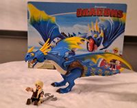 Playmobil Dragons Sturmpfeil und Astrid Nordrhein-Westfalen - Rödinghausen Vorschau