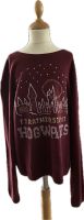 Hogwarts Pullover Gr. 170 H&M Bordeaux  Rot Schleswig-Holstein - Oststeinbek Vorschau