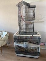 2 Vogel Käfig mit Zubehör zu verkaufen ! Wuppertal - Barmen Vorschau
