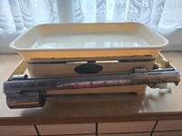 DDR Waage Favorit Ostalgie 10 kg Sachsen - Annaberg-Buchholz Vorschau