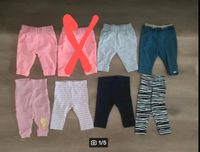 62/68 Leggings Jogginghosen Chillhose lupilu rosa blau Zebra Nordrhein-Westfalen - Lüdenscheid Vorschau