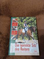 Der korrekte Sitz des Reiters Bayern - Kipfenberg Vorschau