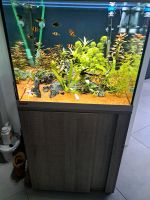 Aquarium eheim vivaline 150 Niedersachsen - Delmenhorst Vorschau