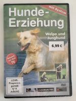 Hunde Erziehungs DVDs Baden-Württemberg - Besigheim Vorschau