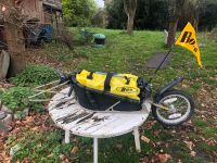 BOB IBEX 28“/29“ Bikepacking Anhänger Hund Dog Trailer Nordrhein-Westfalen - Gelsenkirchen Vorschau