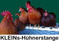 KLEINs Hühnerstange Tränke Futterspender Hühner Küken Stall Rheinland-Pfalz - Göcklingen Vorschau