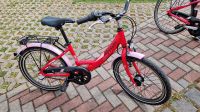 Kinderfahrrad 20 Zoll Lucky Bike Sachsen - Groitzsch Vorschau