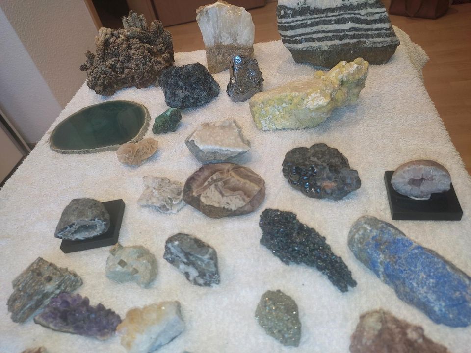 Mineralien Sammlung in Leipzig