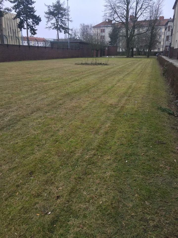 Biete Hilfe im Garten beim Laub fegen , saugen pusten , Straße in