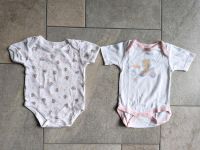 2 Babybody für Mädchen Gr. 62 Berlin - Lichterfelde Vorschau