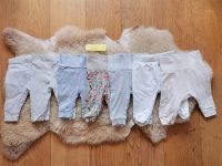 ♦️ 7 Hosen, Leggins Newborn Gr. 50/56 grau, beige, Fuchs neutral Saarland - Losheim am See Vorschau