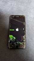 Apple iPhone 7 Niedersachsen - Staffhorst Vorschau