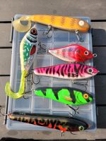 Custom Jerkbait TSD Renz Guppie Phantom Slider Salmo Rheinland-Pfalz - Neustadt (Wied) Vorschau