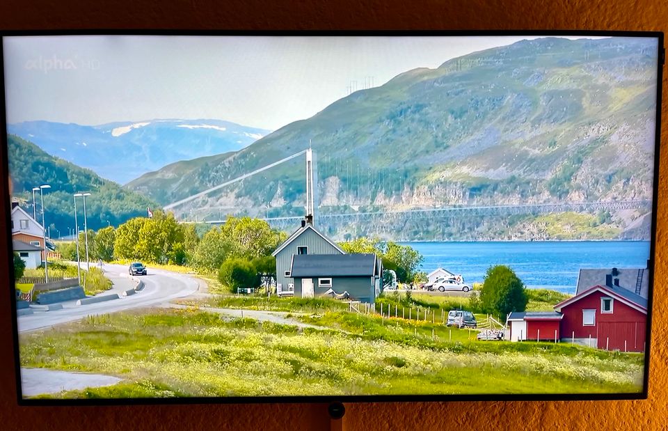 Loewe Bild 1.65. 65 Zoll Ultra-HD TV. Toller Zustand in Wangen im Allgäu