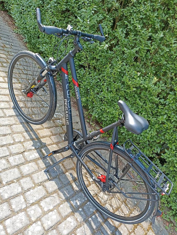 Pegasus Solero Trecking- und Tourenfahrrad Trapezrahmen 28" 58cm in Bottrop