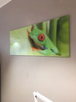 Glasbild Frosch groß 125 x 50 cm Niedersachsen - Buchholz in der Nordheide Vorschau