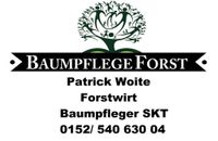 Baumpflege/ Baumschnitt/ Baumfällungen Brandenburg - Forst (Lausitz) Vorschau