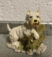 Westi Figur Hund West Highland White Terrier Statue Dekoration Hessen - Langgöns Vorschau