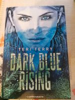 Dark Blue Rising, Teri Terry, HC, neuwertig Berlin - Hellersdorf Vorschau