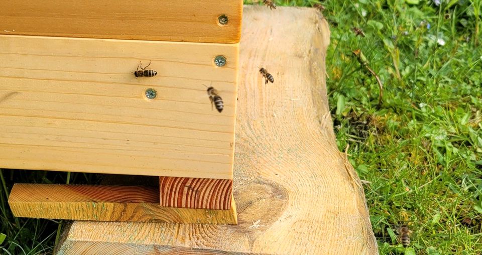 Bienen stand in Gammertingen