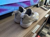 Nike Jordan Schuhe 43 Herzogtum Lauenburg - Lauenburg Vorschau