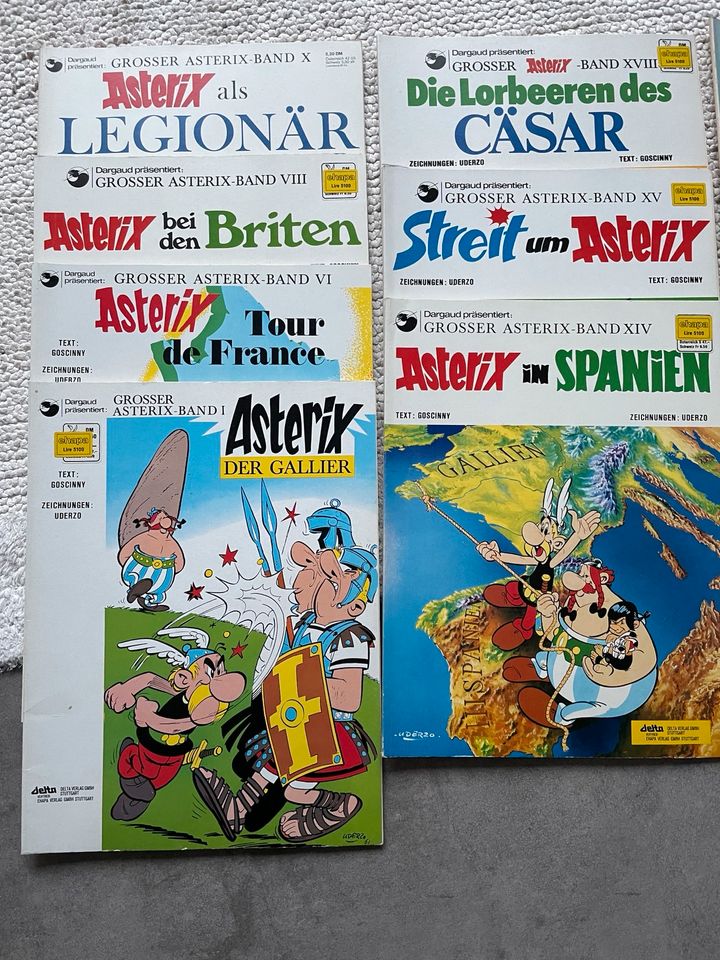 Asterix und Obelix Comics Sammlung in Hünxe